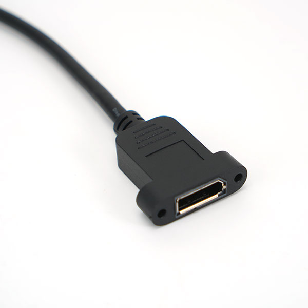 DP公 to DP母延长线